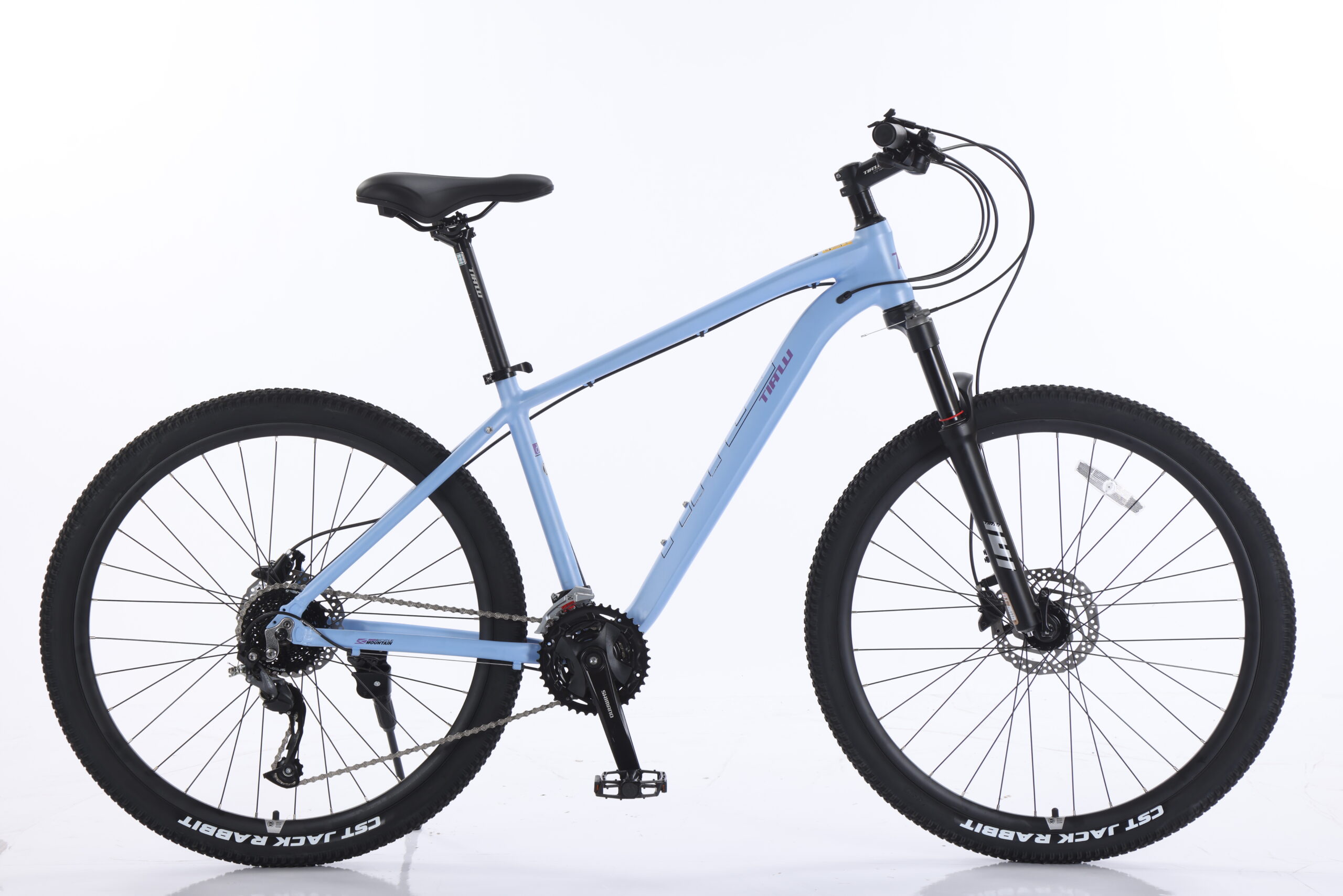 Mountain Bike Model C01