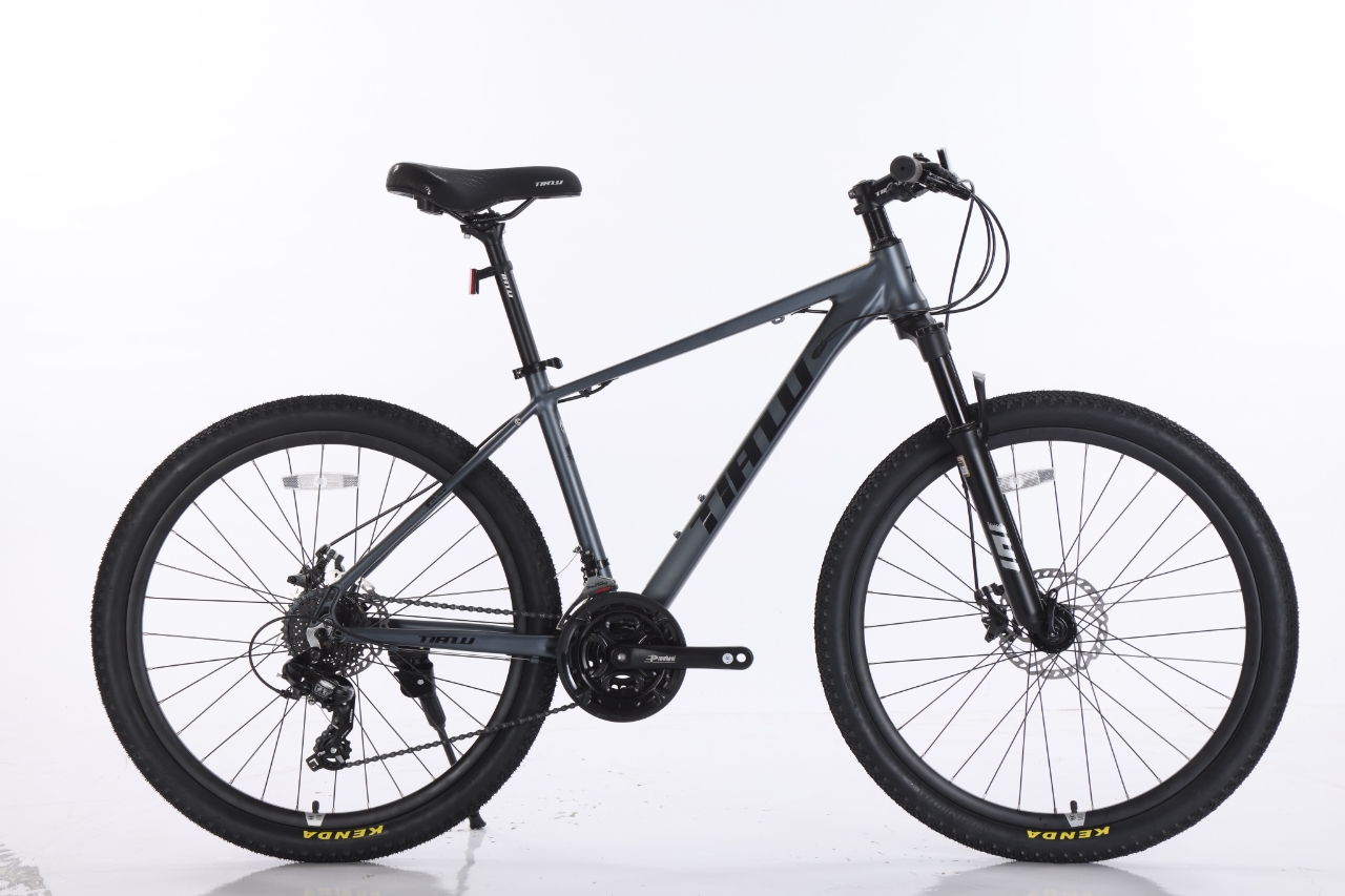 Mountain Bike Model C02