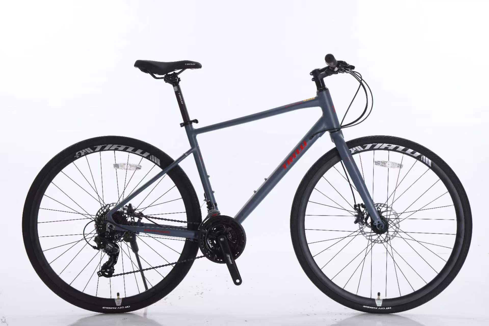 Road Bike Model C04